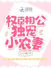 權臣獨寵小嬌妻小說