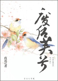 廢后芙兮小說