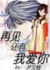 再見我愛你小說