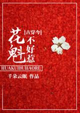 古代花魁的小說