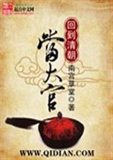 回到清朝奪嫡的小說