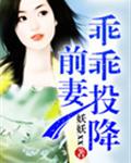 前妻乖乖投降的小說