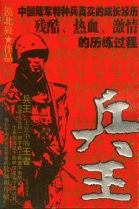 兵王小說排行榜前10名