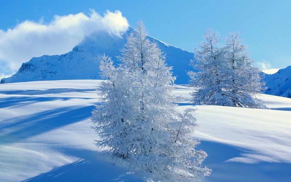 雪蓮果的正確吃法與功效